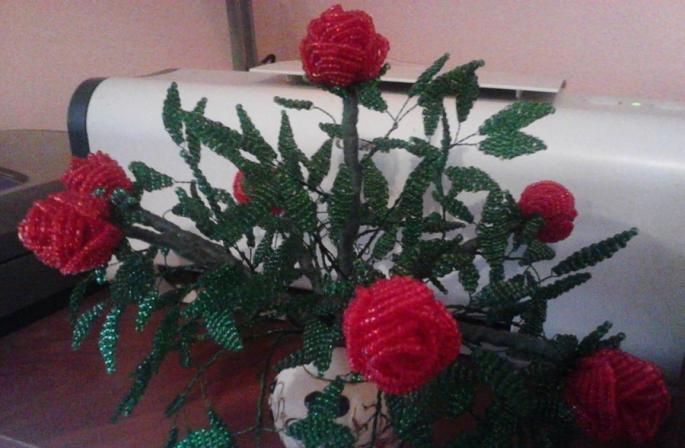 Kompozice květin z korálků: tvoříme krásu za jeden večer Korálkové pletení košíků